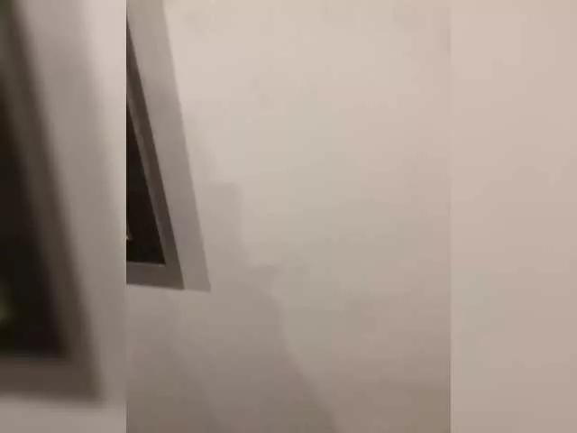 Freechat -Megalodon1- on BongaCams