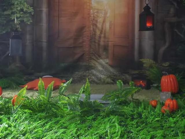 Offline BaeBunny on BongaCams