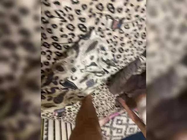 Offline blackfriend18 on BongaCams