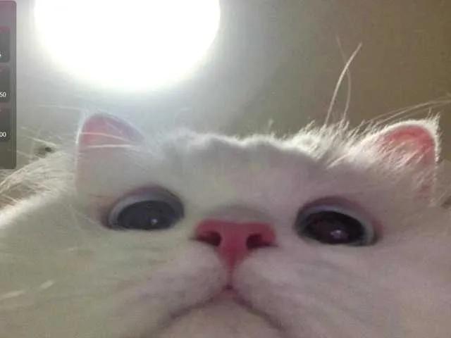 Freechat CrazyWine on BongaCams