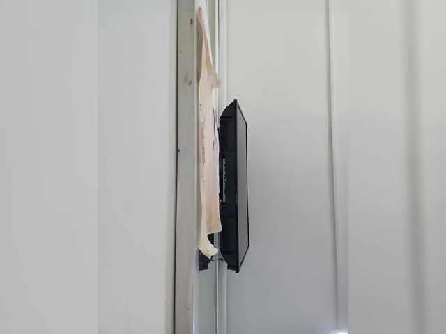 Freechat ElizHarper on BongaCams