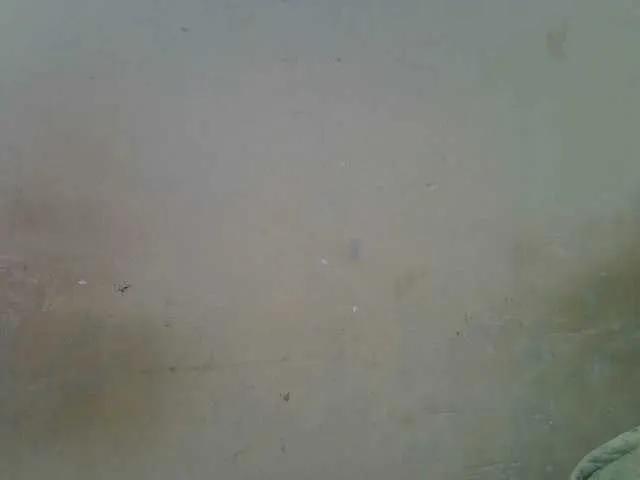 Fay-smarter — Freechat on BongaCams