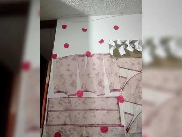 Offline IMENET on BongaCams