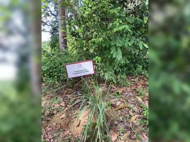 Offline KinaMoonLove on BongaCams