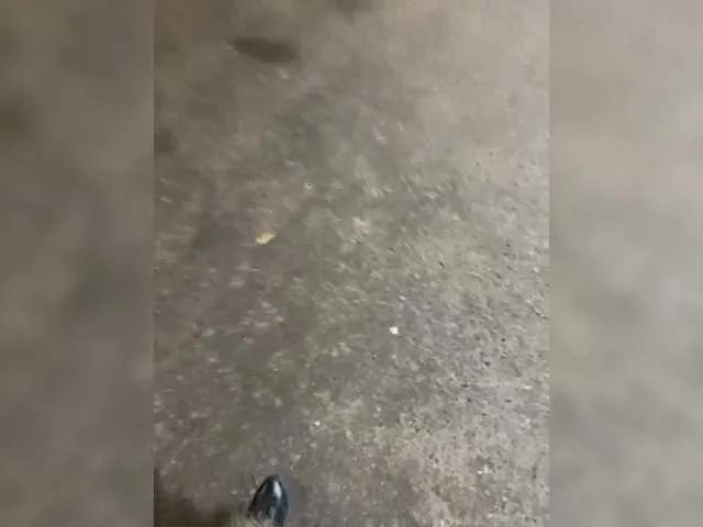 Offline Lisa1225 on BongaCams