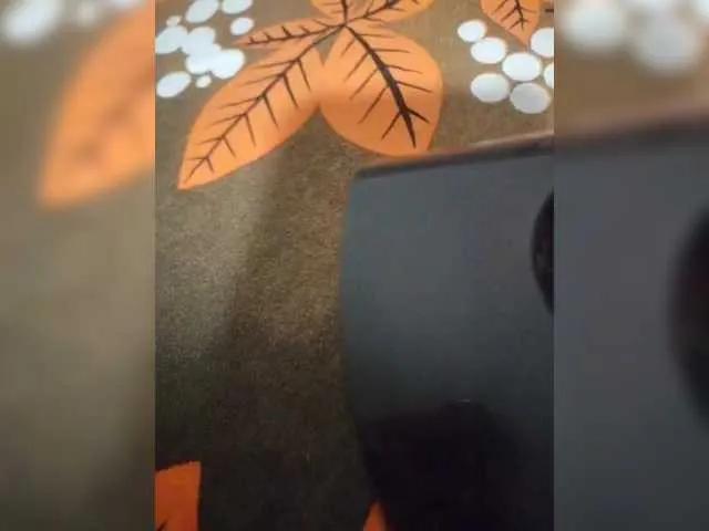 Offline LisaAlexxxx on BongaCams