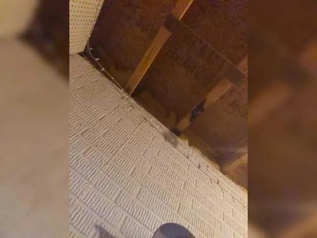 Offline Lkangelach on BongaCams