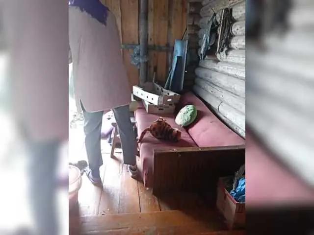 Freechat Madam-oss on BongaCams