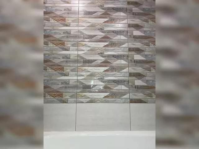 Offline Model2021 on BongaCams