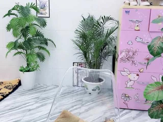 Offline Nary-tran on BongaCams