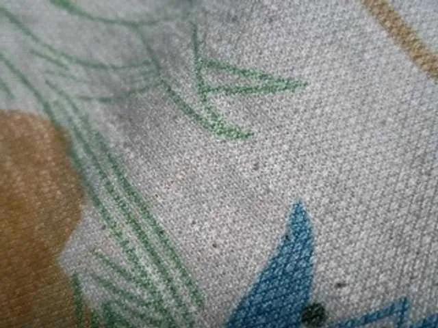 Freechat NaughtyWetPieXx on BongaCams