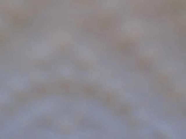 Offline RobertaFox on BongaCams