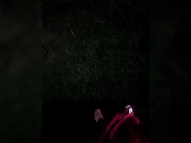 Freechat TilyTily on BongaCams