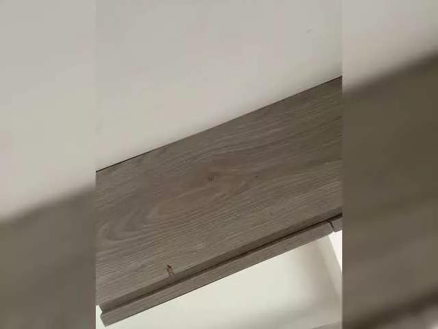 Offline TinyRouse on BongaCams