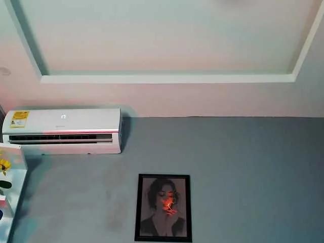 Freechat zoeyfox on BongaCams