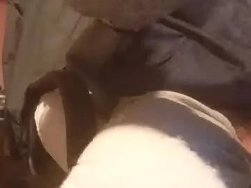 stalloneumbro — Freechat on Chaturbate