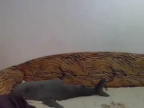 Aleksa_Blackdream's avatar