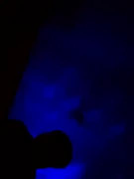 Freechat BlackCobraOwner on StripChat