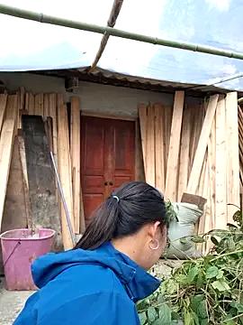 StripChat diamond-- is Freechat diamond-- — Thng em nh