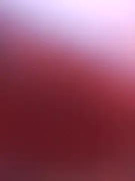 Freechat Fox_Roxxan on StripChat