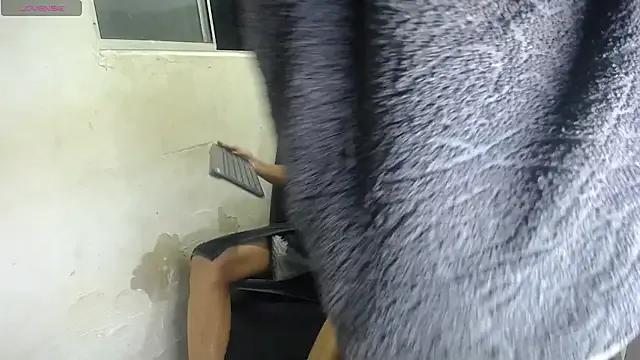 Freechat kevin_sexlove2 on StripChat