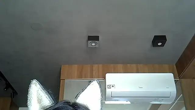 Freechat SkinnyKitten on StripChat