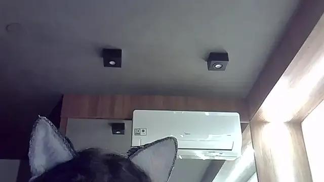 Freechat SkinnyKitten on StripChat