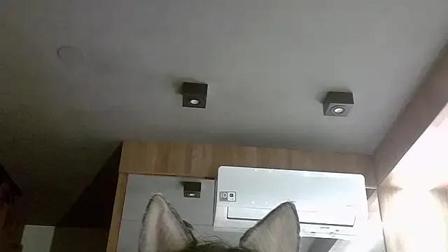 Freechat SkinnyKitten on StripChat