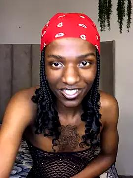 Freechat Trans_fairy on StripChat