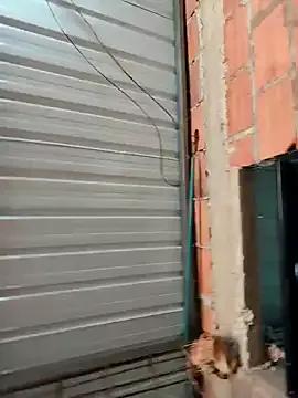 Zoe_Sweett18's avatar